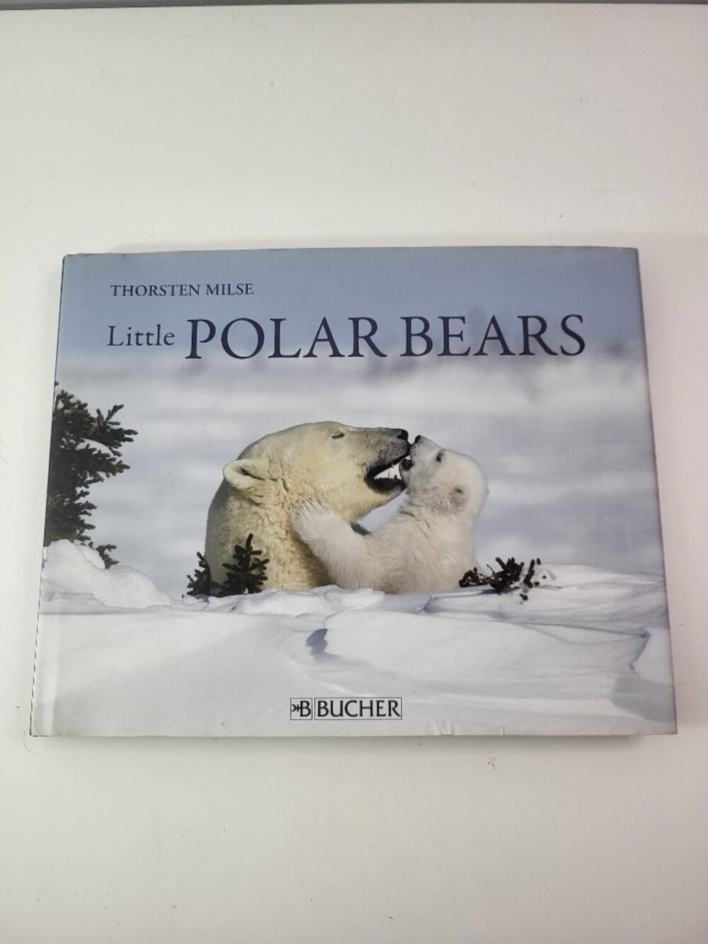 Little Polar Bears Hardcover Book 2007 Thorsten Milse C.J. Bucher Wildlife Photo